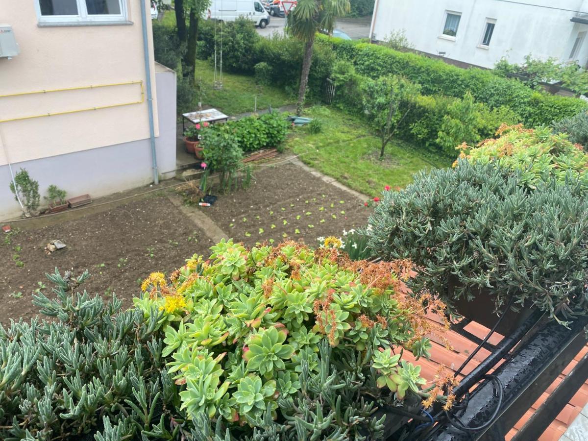 Apartma Magnolija Nova Gorica Luaran gambar
